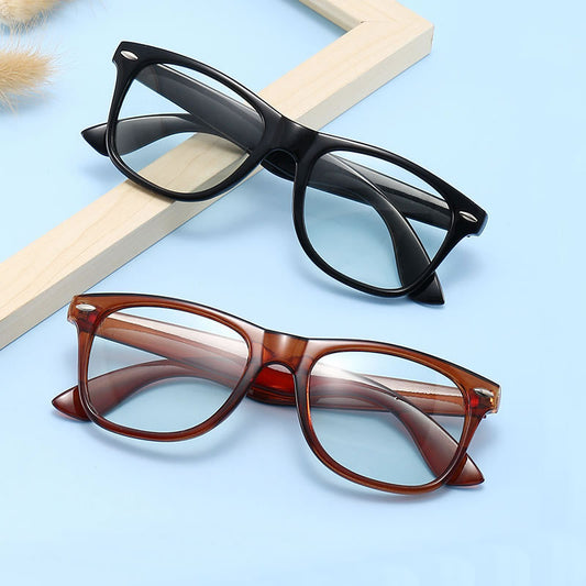 Classic Wayfarer Glasses
