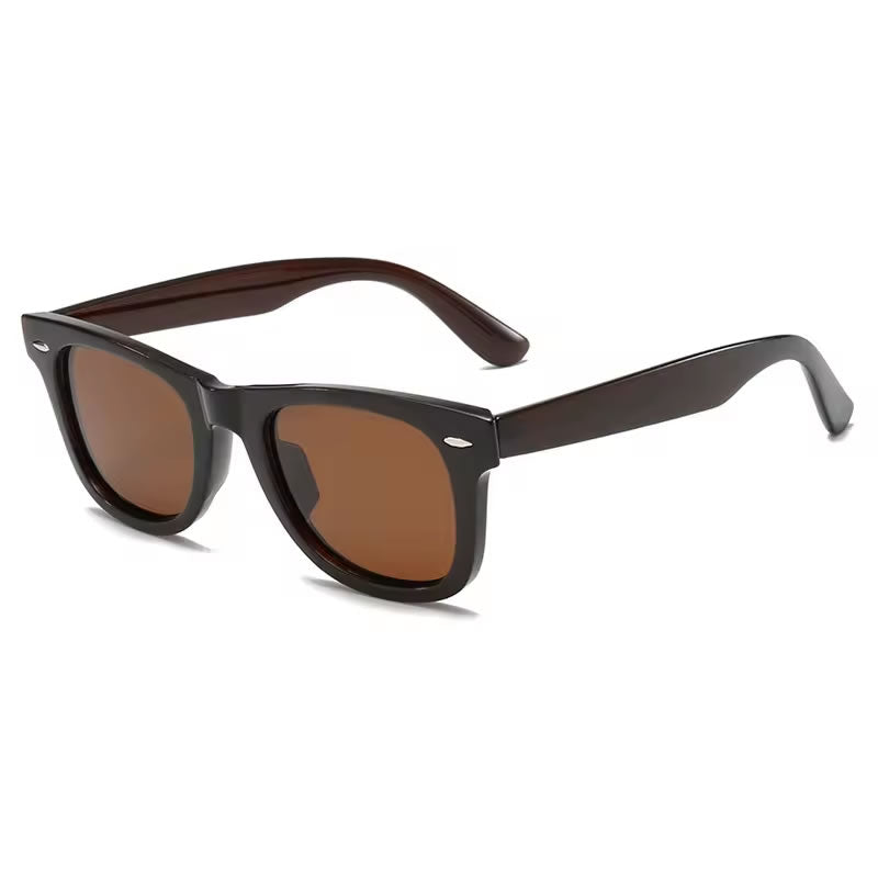 Wayfarer Sunglasses
